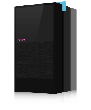 Long Read WGS Services